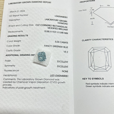 VS2 Kim cương phát triển trong phòng thí nghiệm cắt rực rỡ xanh sắc thái kim cương phòng thí nghiệm 5,03 carat
